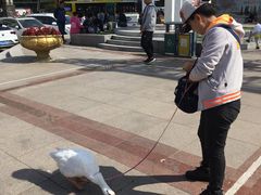 -圣·阿列克谢耶夫教堂