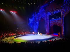 -珠海横琴长隆《卡卡虎奇遇记》