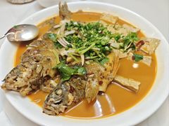 -瑞琳阿尔泰冷水鱼(康源财富中心店)