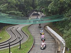 -圣淘沙天际线斜坡滑车