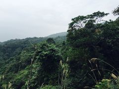 -广州市帽峰山景区
