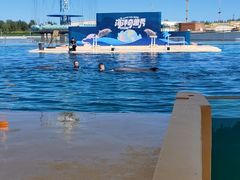 -秦皇岛乐岛海洋王国