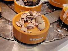 -龍歌自助小火锅(李沧丽达店)