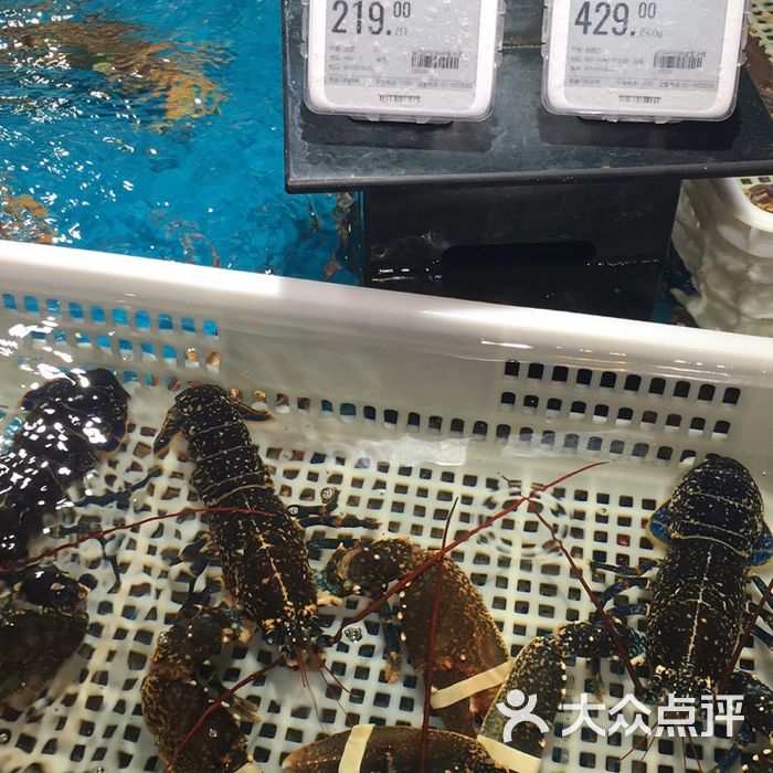 盒马鲜生龙虾图片-北京海鲜-大众点评网
