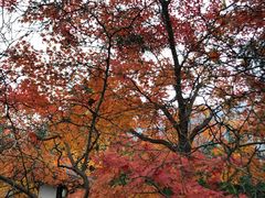-青岛崂山太清宫
