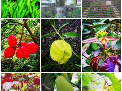 -广州神农草堂中医药博物馆