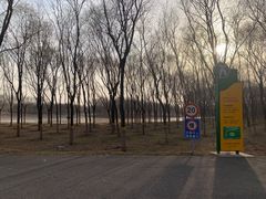 -东郊湿地公园