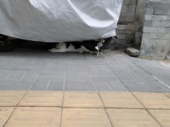 -增盛魁小吃店