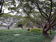 -江心屿景区
