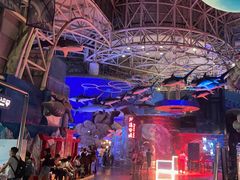 -烟台海昌鲸鲨海洋公园