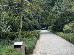 -杭州植物园