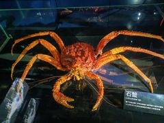 -同济大学四平路校区深海探索馆