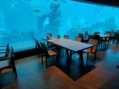 大堂-海棠湾洲际-涛·海底餐厅·美人鱼·自助餐·海底隧道