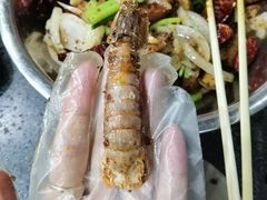-辣盆盆麻辣小龙虾(哈尔滨总店)