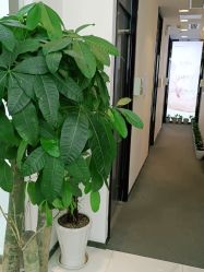 -妈妈时光机医疗产后修复(南山茂业百货店)