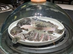 -青蓬蒸汽海鲜·深圳老字号·团建聚会(壹方城店)