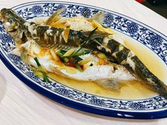 清蒸白水鱼-洞天食府(北大街店)
