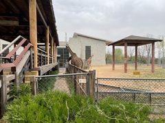 -石家庄市动物园