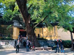 -无锡惠山寺