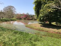 -中国科学院西双版纳热带植物园