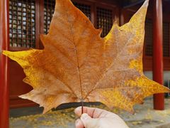 -承恩寺