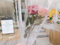 -Green Option(官舍店)