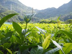 -亚婆田·白水寨生态旅游度假区