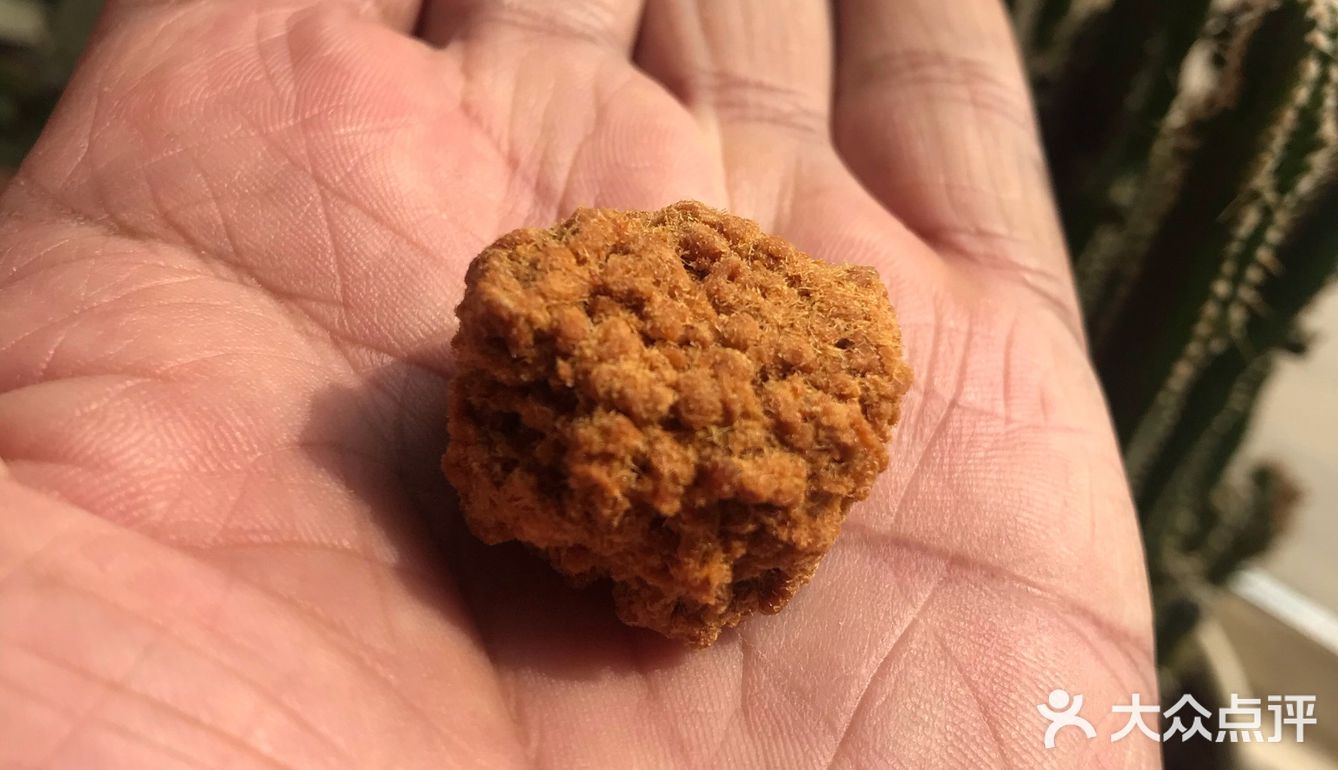一小粒就是一斤猪肉