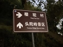 -紫金山山顶公园