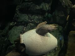 -珠海长隆海洋王国