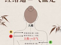 -名医堂永康中医·推拿正骨·针灸·艾灸