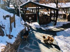 -北京水岸山吧度假村(雁栖镇店)