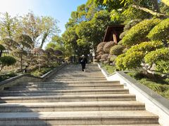 -仙岳公园