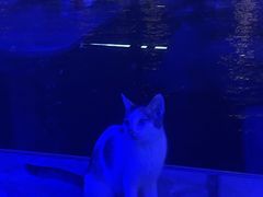 -琶醍壹号•潮菜江景餐吧