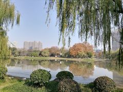 -堤角公园