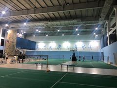 -东丽温泉羽毛球