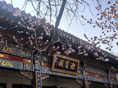-桃花堤公园