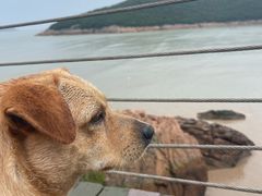 -宁波松兰山滨海旅游度假区