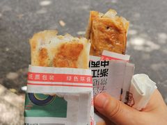 -孙奶奶葱包桧