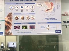 -申普宠物医院·心脏介入·心血管微创(总院)