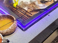 -格瑞欧海鲜自助烤肉火锅(光彩店)