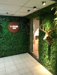 -V-STAR威斯达•高级私人定制