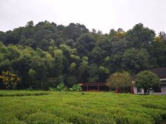 -杭州西湖风景名胜区-三生石