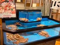 -蟹道乐(道顿堀本店)