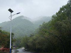 -栾川竹海野生动物园