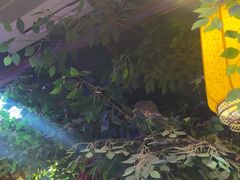 -唇辣号重庆老火锅(燕郊鑫乐汇店)