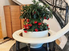 -石浦大酒店(百丈店)