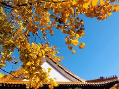 -明故宫遗址公园
