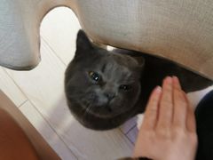 -Rabbit Cafe私房西餐甜点咖啡(栖霞路店)