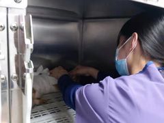 -萌兽医馆·绝育·24小时内科·宠物医院(德胜店)